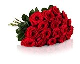 MIFLORA Blumenstrauß 20 Rote Rosen mit XXL-Blütenköpfen | Gratis Grußkarte inklusive