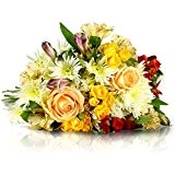 MIFLORA Blumenstrauß Frühlingstraum | Entworfen von der Europameisterin | Gratis-Grußkarte & Geschenkverpackung