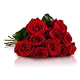 MIFLORA Blumenstrauß mit 10 Red Naomi Rosen mit XXL-Blütenköpfen