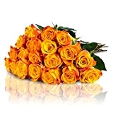 MIFLORA Blumenstrauß mit 15 gelben Rosen, Gratis Grußkarte inklusive