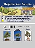 Mini-Gewächshaus - Bonsai - Mediterran - mit Samen der Echten Myrte, Zwerg-Granatapfel und Ölbaum