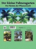 Mini-Gewächshaus - Der kleine Palmengarten - mit Samen der Fächerpalme, Königspalme und Hanfpalme