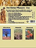Mini-Gewächshaus - Pflanzen-Zoo - mit Samen vom Affenbrotbaum, Elefantenfuss und Pfauenstrauch