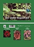 Mini-Gewächshaus - Regenwald - mit Samen vom Feuerradbaum, Gespensterpflanze und Florettseidenbaum