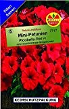 Mini-Petunien Petunia milliflora Picobella Rot 30 Pillen