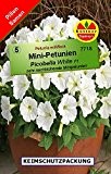 Mini-Petunien Petunia milliflora Picobella Weiß 30 Pillen