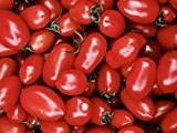 Mini Roma-Tomate - Cherry Roma-Tomate - 20 Samen