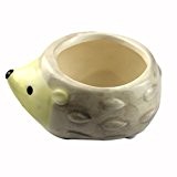 Mini Tier Pflanzer Kawaii Little Animal Keramik Blumentopf für Garten Heim Hedgehog