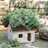Miniatur gestromt Fairy Garden Cottage
