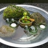 Miniteich-Set, Schildkröte im Faß mit Schwimmkugel + Schalen