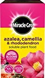 Miracle Gro Azalee, Camellia & Rhododendron Lösliche Plant Food 500g Karton