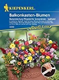 Mischungen einjähriger Sommerblumen: Balkonkasten-Blumenmischung "Pflegeleichte Sonnenkinder", Saatband - 1 Portion