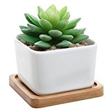 Moderne Deko klein weiß quadratisch Keramik Sukkulente Topf w/Bambus Abtropf Tablett - MyGift Home