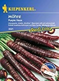 Möhrensamen - Möhre Purple Haze F1 (Saatband) von Kiepenkerl