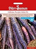 Möhrensamen - Möhren Purple Haze F1 von Dürr-Samen