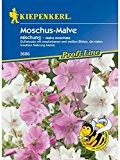 Moschus-Malven-Mix