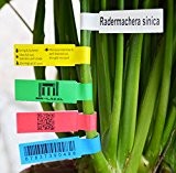Mr-Label Druck Pflanze Etikett - Am besten für Heavy User - Wetterfest Dauerhaft Selbstklebend Pflanzenschilder - mit freiem Druckwerkzeug (Größe-A, ...