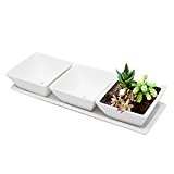 MyGift Set 3 dekorativer Moderner weiß quadratisch, Blume, Sukkulente Pflanzgefäße/Gerichte mit Display Tablett