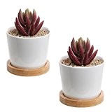 MyGift Set aus 2 modernen weiß Keramik Sukkulente Übertopf Töpfe/Mini Flower Plant Behälter mit Bambus Untertassen