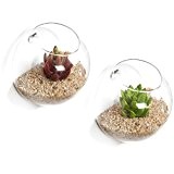MyGift Set von 2 an der Wand montiert Klar Glas Terrarien/Air Pflanze Globes/Aufhängen Kerze Display Schale Gläser