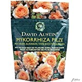 Mykorrhiza Pilze von David Austin - organisch, wiederverschließbar, Biostimulanzien, Rosendünger - 90g