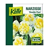 Narzissen Pflanze im Topf - gelb-weiße Narzisse „Double Pam“ - Osterglocke aus eigener Gärtnerei - Topfpflanze von Pflanzen-Kölle