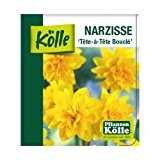 Narzissen Pflanze im Topf - kleine, gefüllte, gelbe Narzisse „Tête-à-Tête Bouclé“ - Osterglocke aus eigener Gärtnerei - Topfpflanze von Pflanzen-Kölle