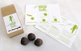 'Naschgarten' Seedballs - 10er Packung Seedbombs