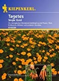 Nematoden-Killer - Tagetes 'Single Gold'