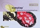 NemaTop zur Bekämpfung des Dickmaulrüsslers 10 Mio