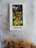 Nerium oleander, 35 gemischte Samen, Traumfarben für einen italienischen Garten!