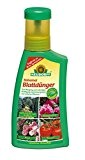 Neudorff Balsamol Blattdünger - 250 ml Koniferen-Dünger: flüssig, organisch & mit Langzeit-Wirkung - Stickstoffdünger als Balsam zur Kräftigung von Pflanzen