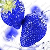Neuer großer Verkauf der freien Verschiffen 100 Samen / Pack, Super-Riesen Erdbeere-Frucht-Samen Apple-Sized Blau