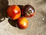 NEUHEIT 2015/16 INDIGO Apple: mittelgrosse Tomate, kräftiges Fleisch, 20 Samen