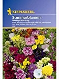 niedrige Sommerblumen-Mix