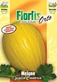 Obstsamen - Gelbe Kanarische Honigmelone Melone Giallo Canaria 3 von Flortis