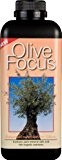 Olive Focus konzentrierter Dünger, flüssig, 1 l