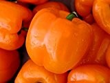 Orange Sun - süßer Paprika - 20 Samen