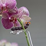 Orchideenstab Blumenstab Blumenhalter mit Würmchen handgeformt Lauschaer Glas das Original
