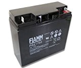 Original FIAMM Akku 12V 17Ah Batterie Akku FG21703 / FG21803 UPS USV GF 21703