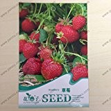 Originalverpackung Obst und Gemüse Samen, Erdbeere Samen reifen Blüten 90 Tagen 50 Teilchen Samen / bag