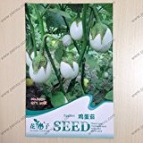Ornamental Obst und Gemüse-Samen, Eiweiß Aubergine-Samen, reifen Blüten 70 Tage, 30 Partikel Samen / bag