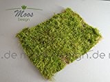 Osternest Moos 1 Lage Natur Moosmatten, Osterdeko Flachmoos, Moosplatten zur Dekoration mit Moss; Frühlingsdeko Dekomoos für Floristen