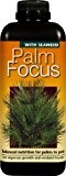 Palm Focus 1 Liter - Für eine optimale Leistung des wachsenden Palmen in Töpfen