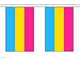 pansexual Pride LGBT Polyester Flagge Wimpelkette 3 m (10 ') Wimpelkette mit 10 Flaggen