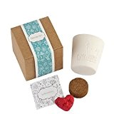 Paperblooms Geschenk-Box "Blühendes Herz" Seedbombs Anzuchtset - die kreative Deko oder Öko-Geschenkidee für Geburtstag, Hochzeit oder Muttertag in rot