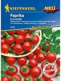 Paprika Coccinella