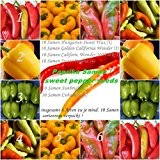 Paprika Mix - 6 Arten - je 10 Samen von begehrten Paprikasorten !