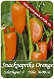 Paprika Samen - 15 Stück - Snackpaprika Orange
