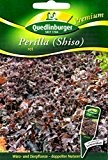 Perilla, Shiso, rot, Perilla frutescens , ca. 50 Samen